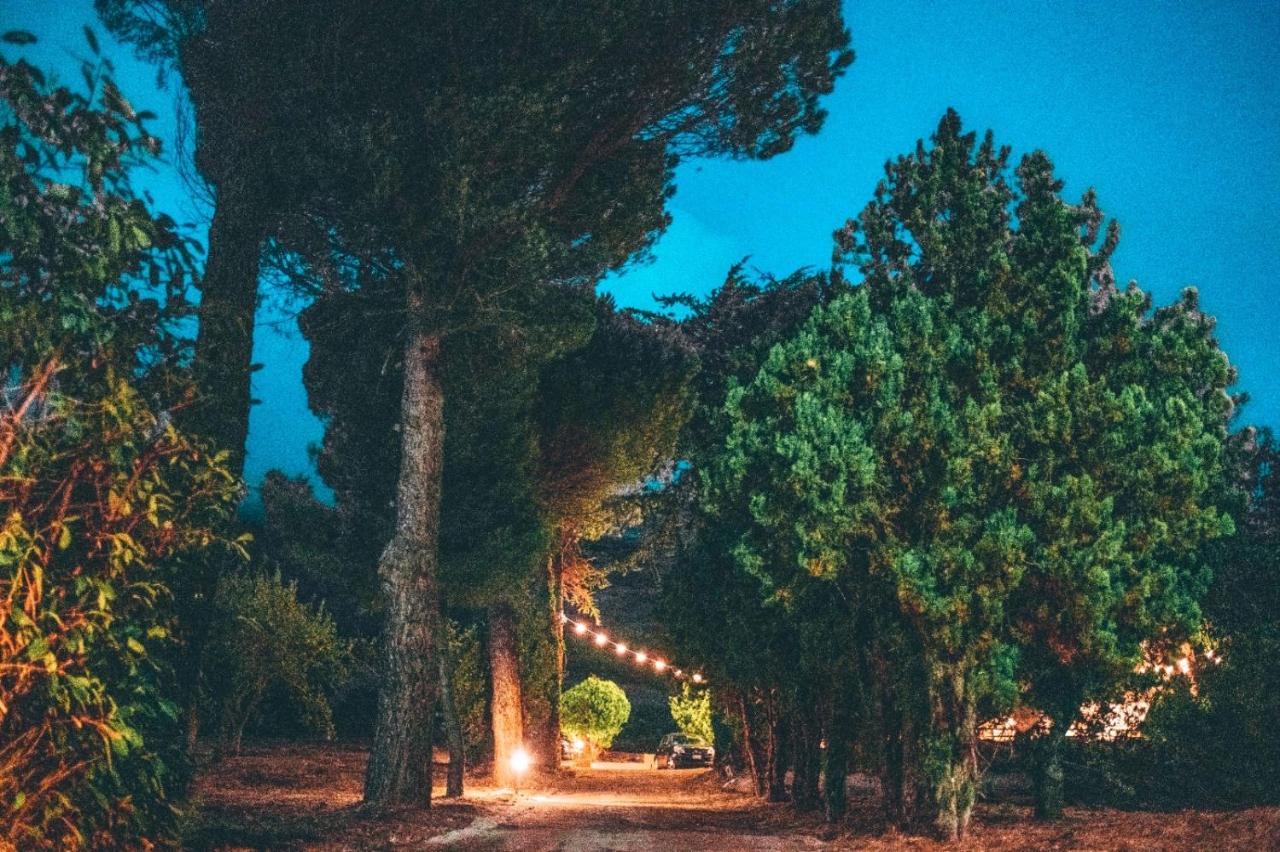 San Gregorio Magno Agri Home Restaurant B&B Villa Ada المظهر الخارجي الصورة